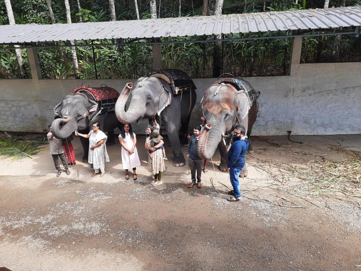 Sopanam Heritage Thekkady Kültér fotó